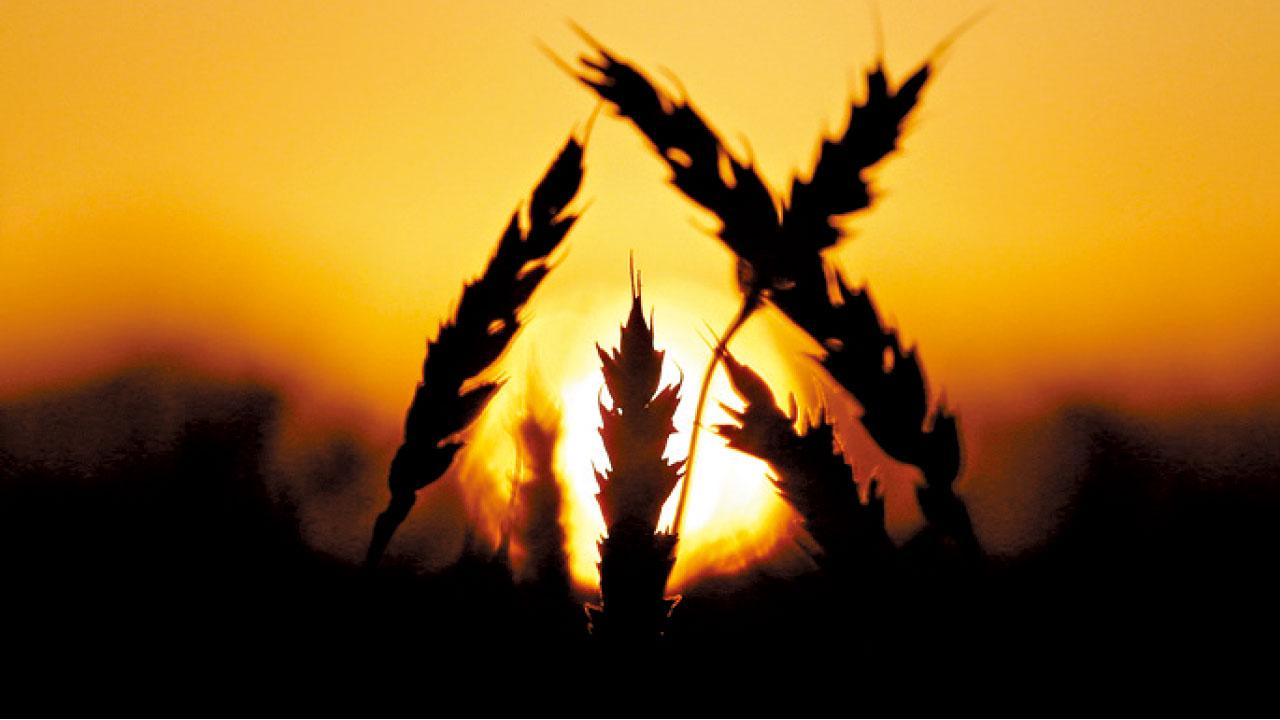 Secret Spots~ 沒有不夕陽的工業