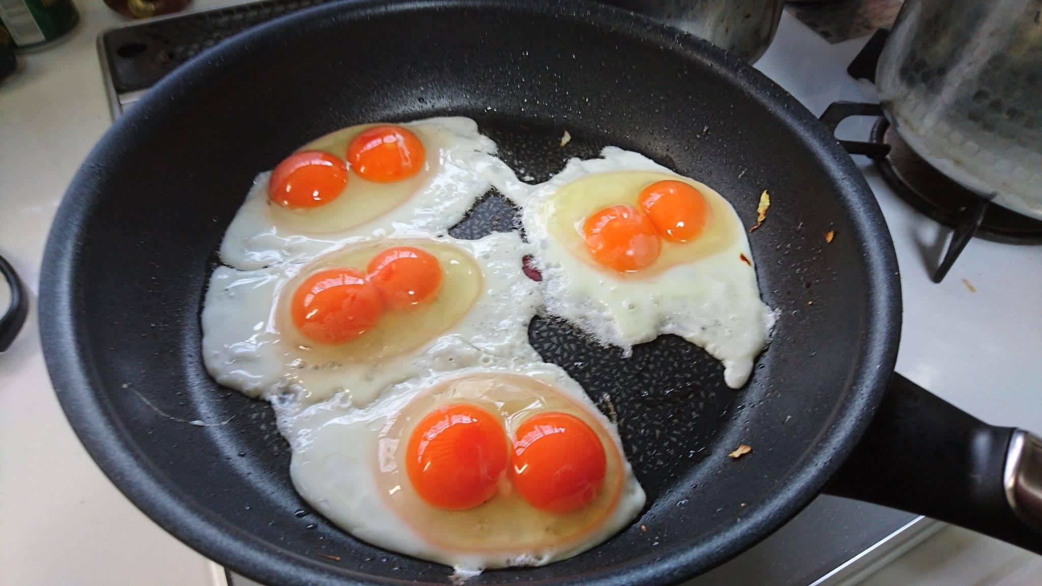 成雙成對煎雙蛋