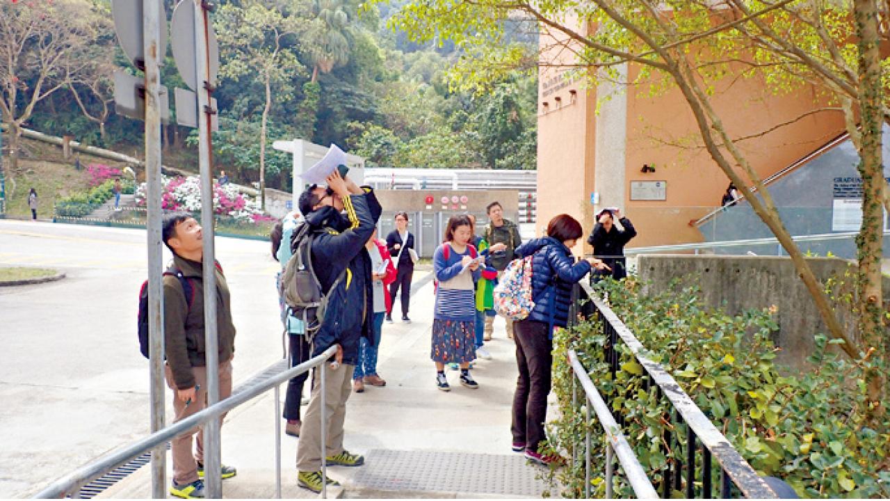 觀鳥會辦麻雀普查日