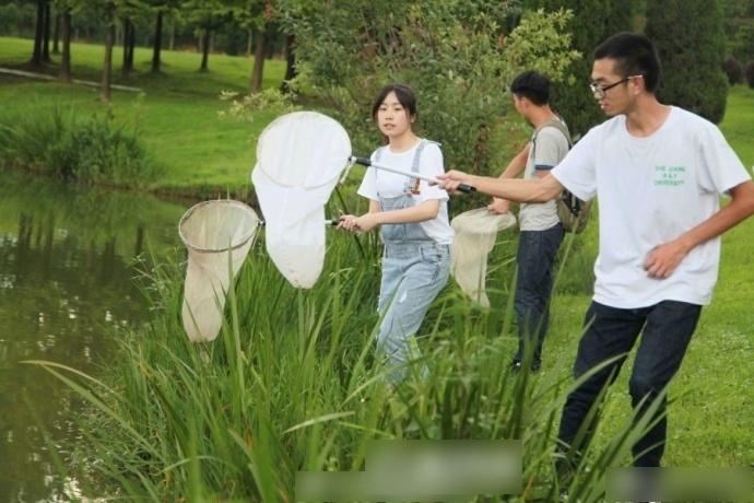 浙大學暑期作業：每人捉300隻蟲