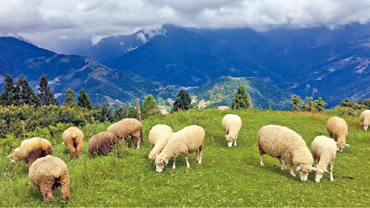 Hike~ 戀藍愛綠作旅人 踏上全新台中清境步道