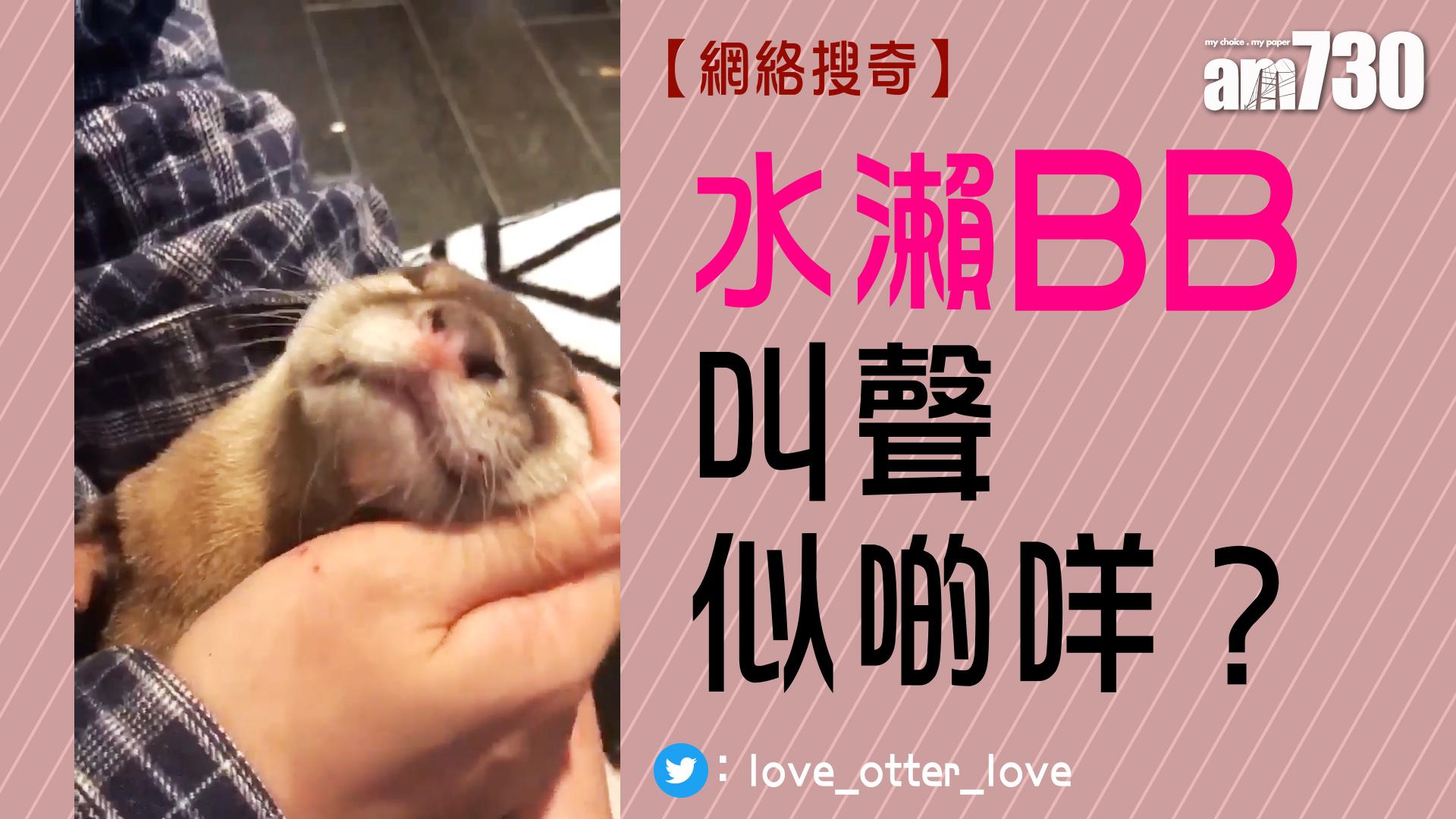 水瀨BB叫聲似啲咩？