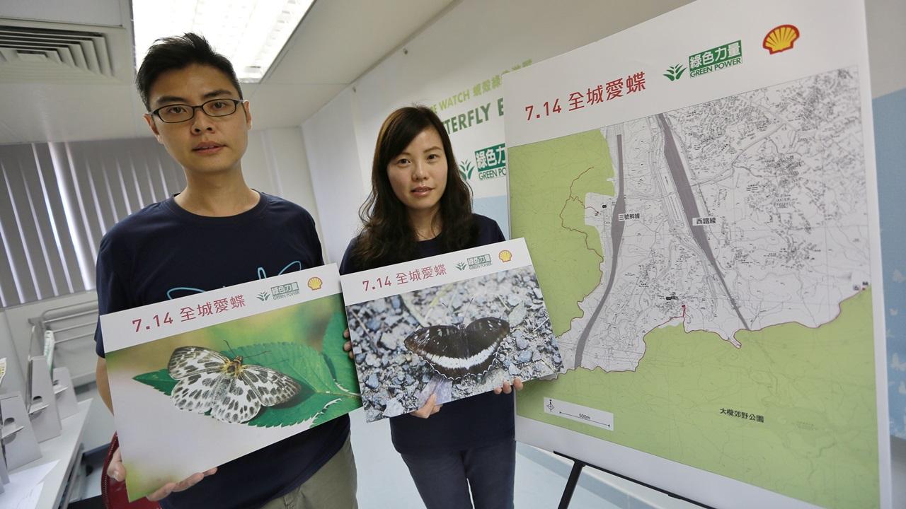 大欖郊野公園邊陲發現2種非常罕見及5種罕見蝴蝶