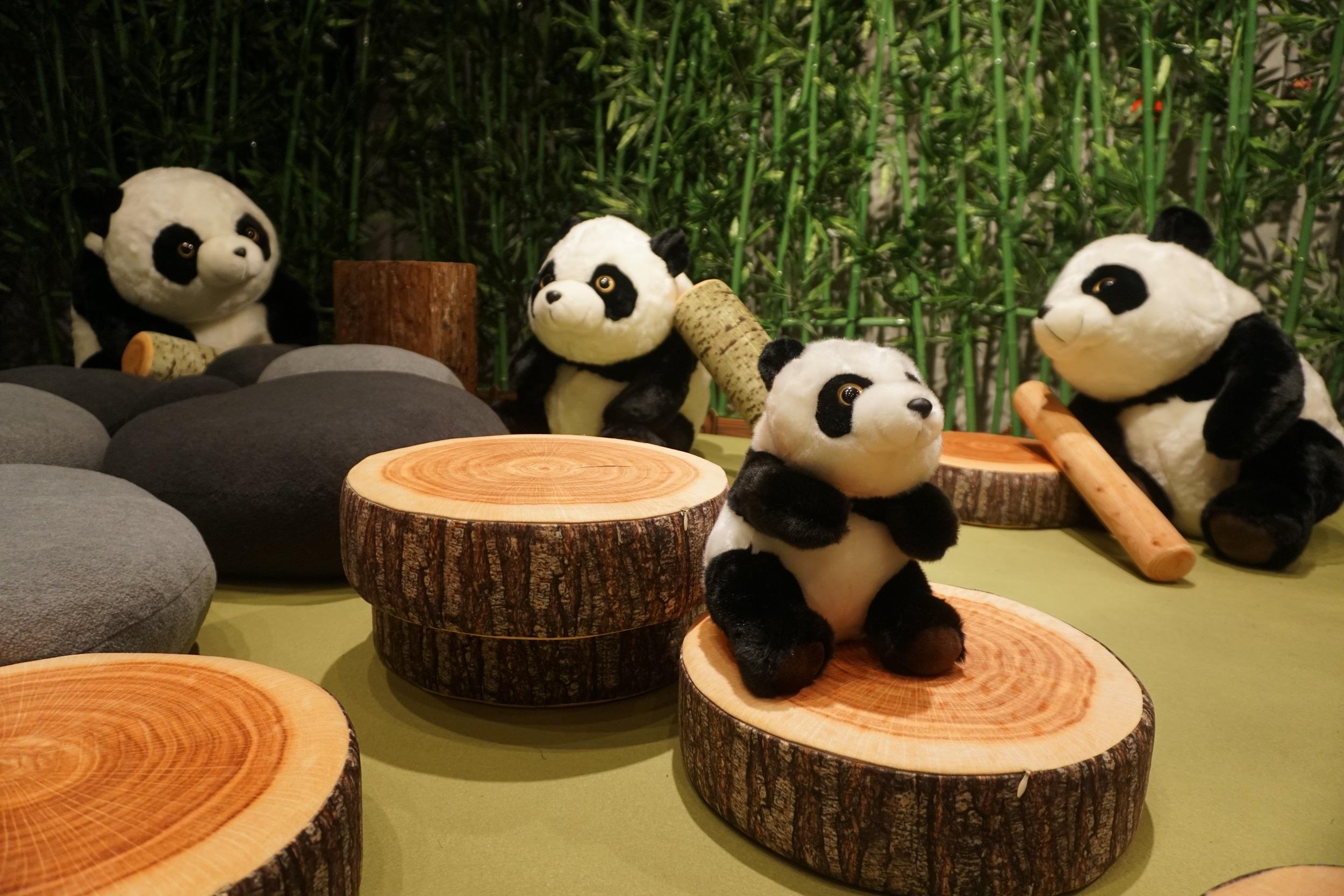 海洋公園 x D2 Place 「大熊貓館」