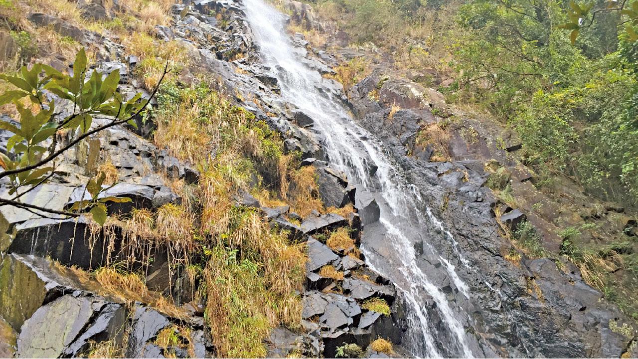 Hike~ 可望而不可即 石龍飛瀑