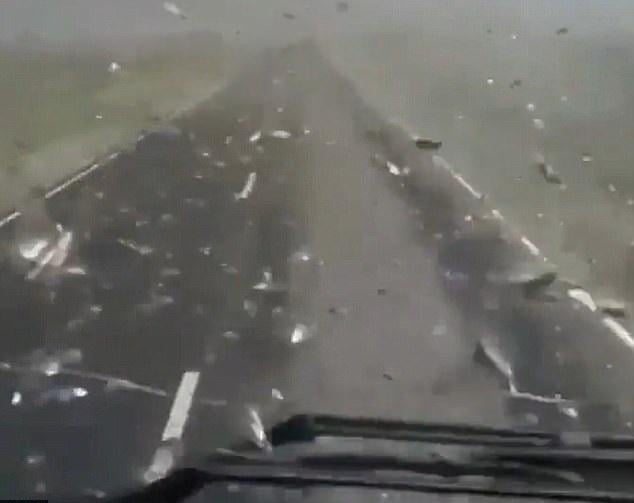 【有片】遠看以為沙塵暴 原來係蝗蟲！