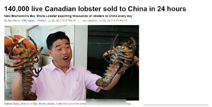 中國客日掃14萬隻龍蝦 加拿大公司庫存剩3個月