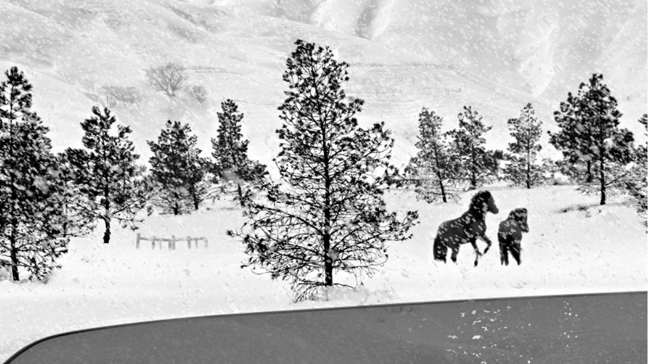 [嚟緊有乜睇]MOVIE~Cine Fan夏日國際電影節