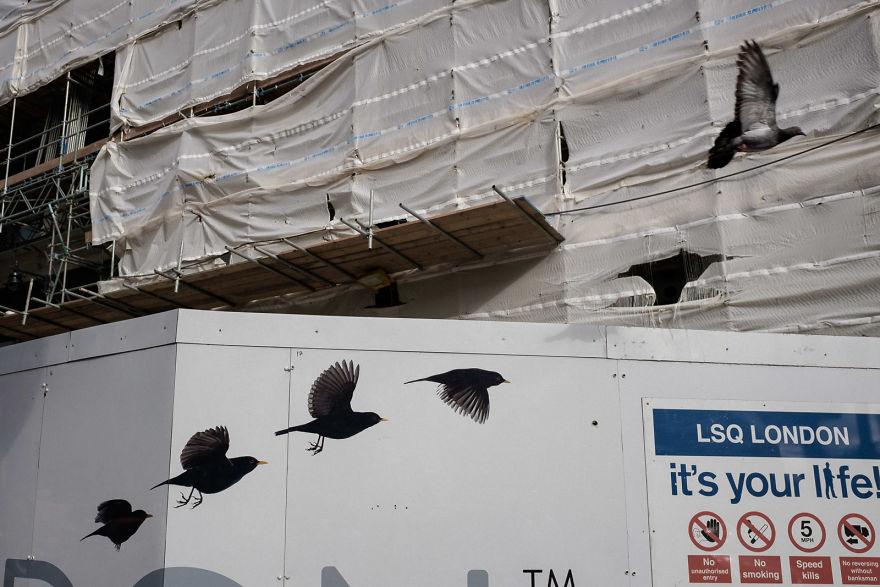 世界最大型照片比賽百強