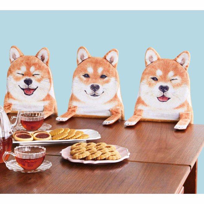 Cute爆柴犬排排坐陪你食飯