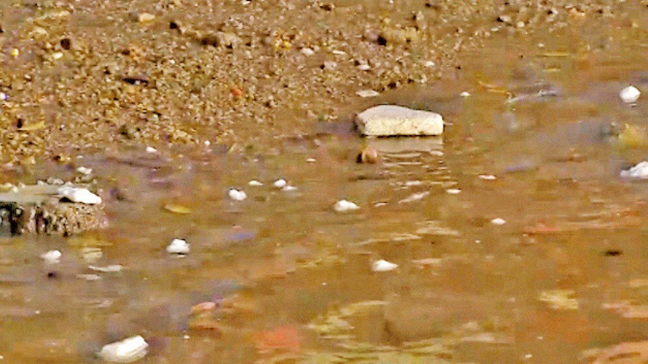 疑船隻碰撞漏油 多個泳灘暫時封閉