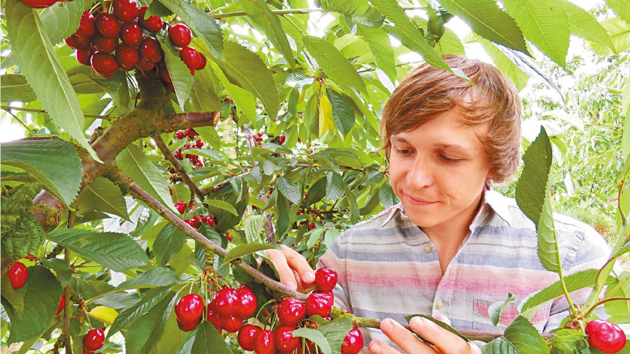 比利時果香裡的甜美世界