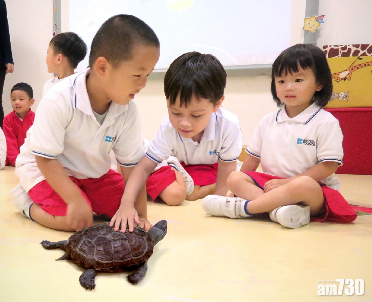 英國文化協會國際幼稚園招生 10月31日截止