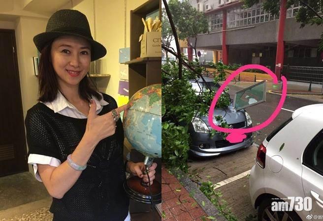 【即時娛樂】翁虹愛駒被天鴿所傷