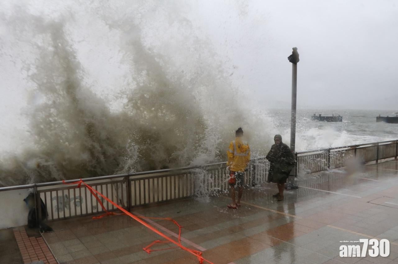 杏花邨浪接浪 高達數層樓高