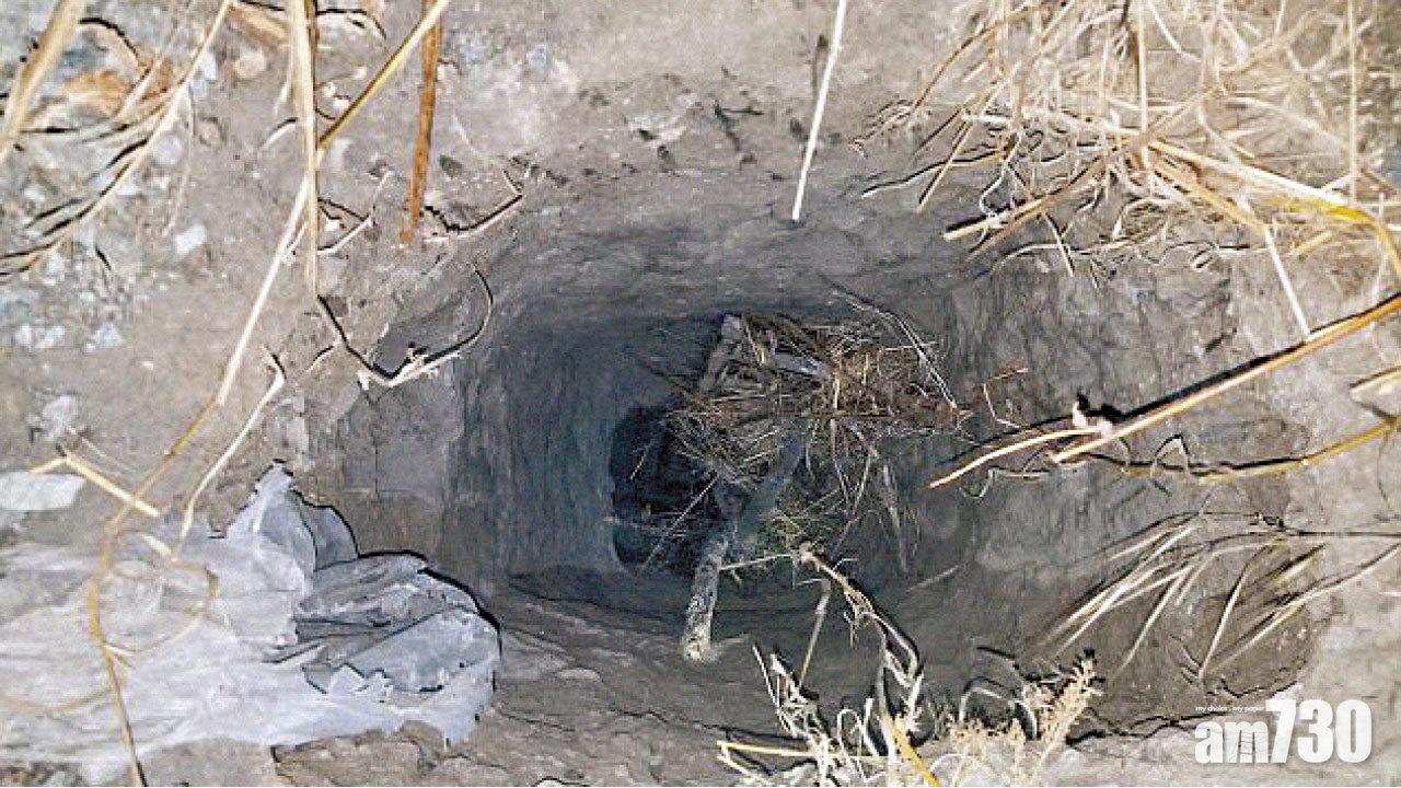 美墨邊境現人蛇隧道 23華人被捕