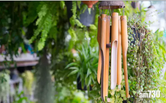 研究：播風鈴聲刺激味覺 小孩不再抗拒食蔬菜