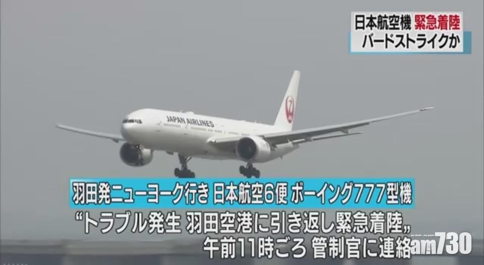 日航客機疑雀鳥導致引擎著火折返 安全著陸