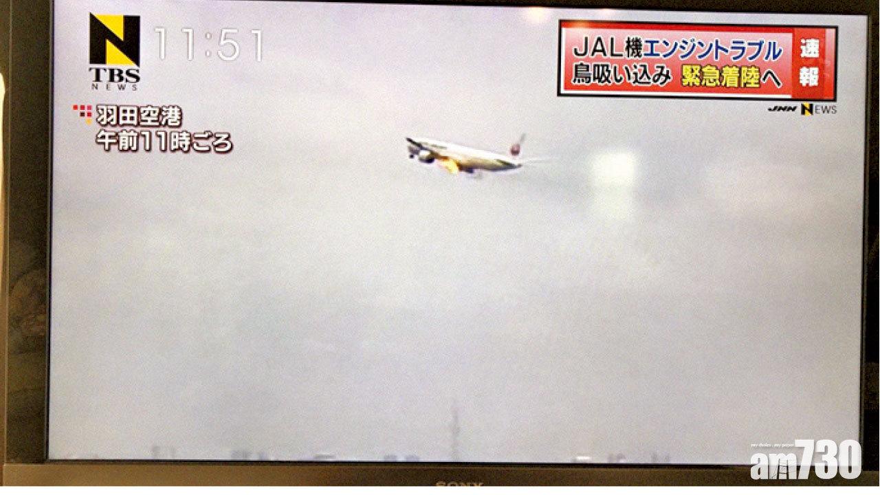 圖片新聞: 火球