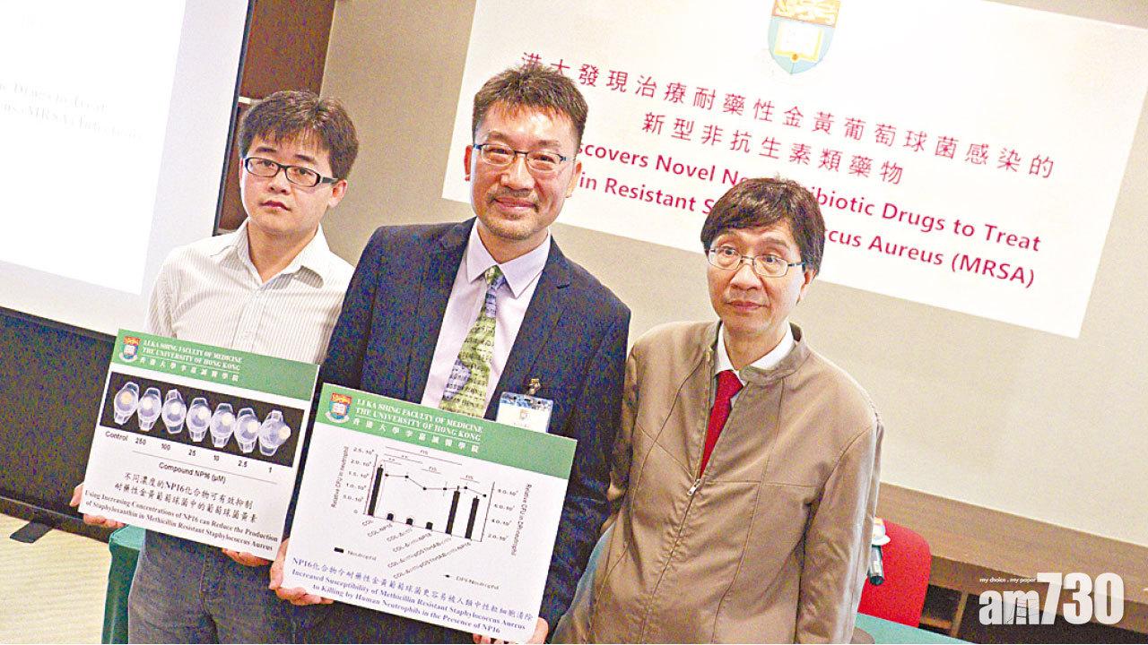 冀為非抗生素替代治療方案 港大研化合物治MRSA減耐藥