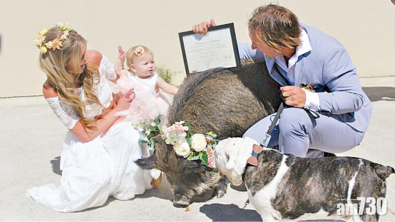 豬花女狗伴郎 婚禮搶晒鏡