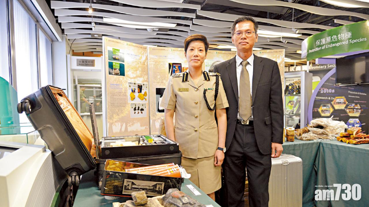 走私瀕危物種個案升三成  野生歐鰻檢54公斤