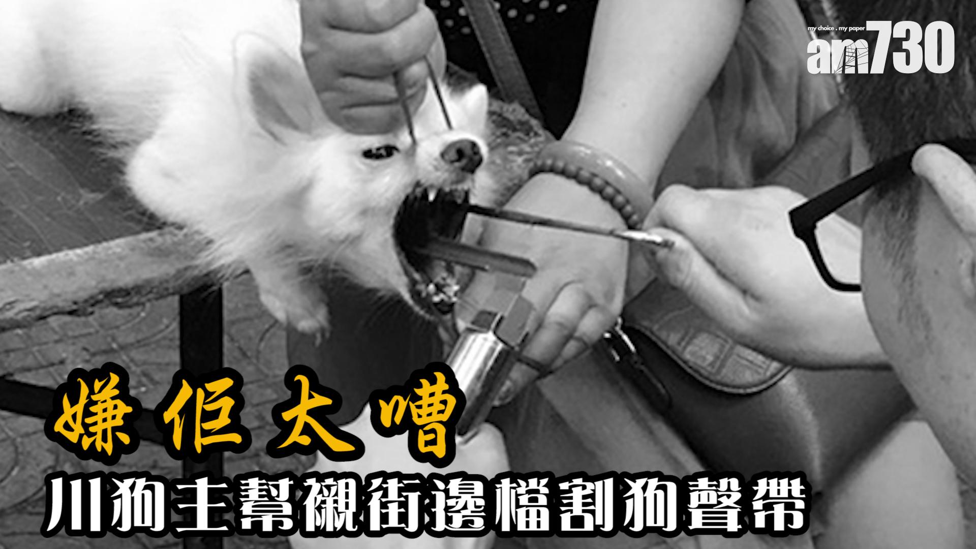 嫌佢太嘈 川狗主幫襯街邊檔割狗聲帶