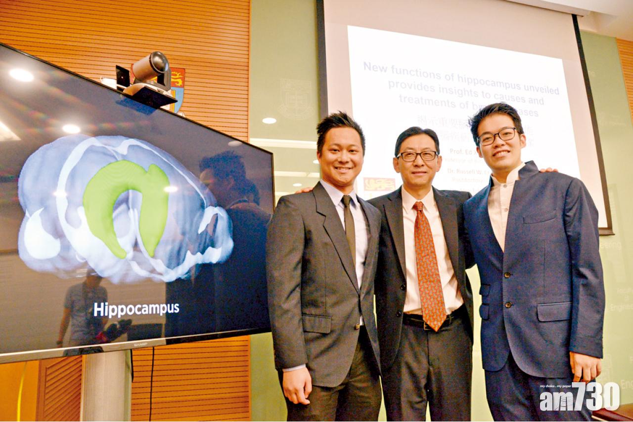 研究證海馬體提升記憶力  港大冀助治療腦疾