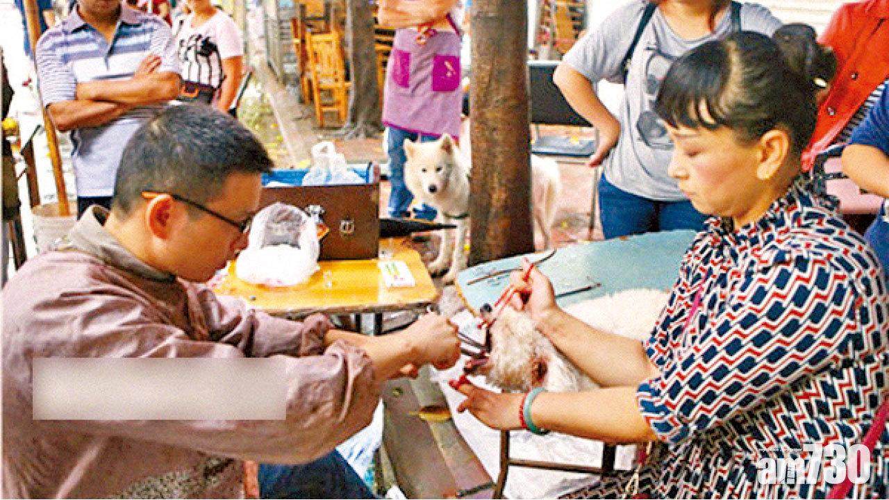 手術簡陋冇消毒 川街邊檔恐怖割狗聲帶