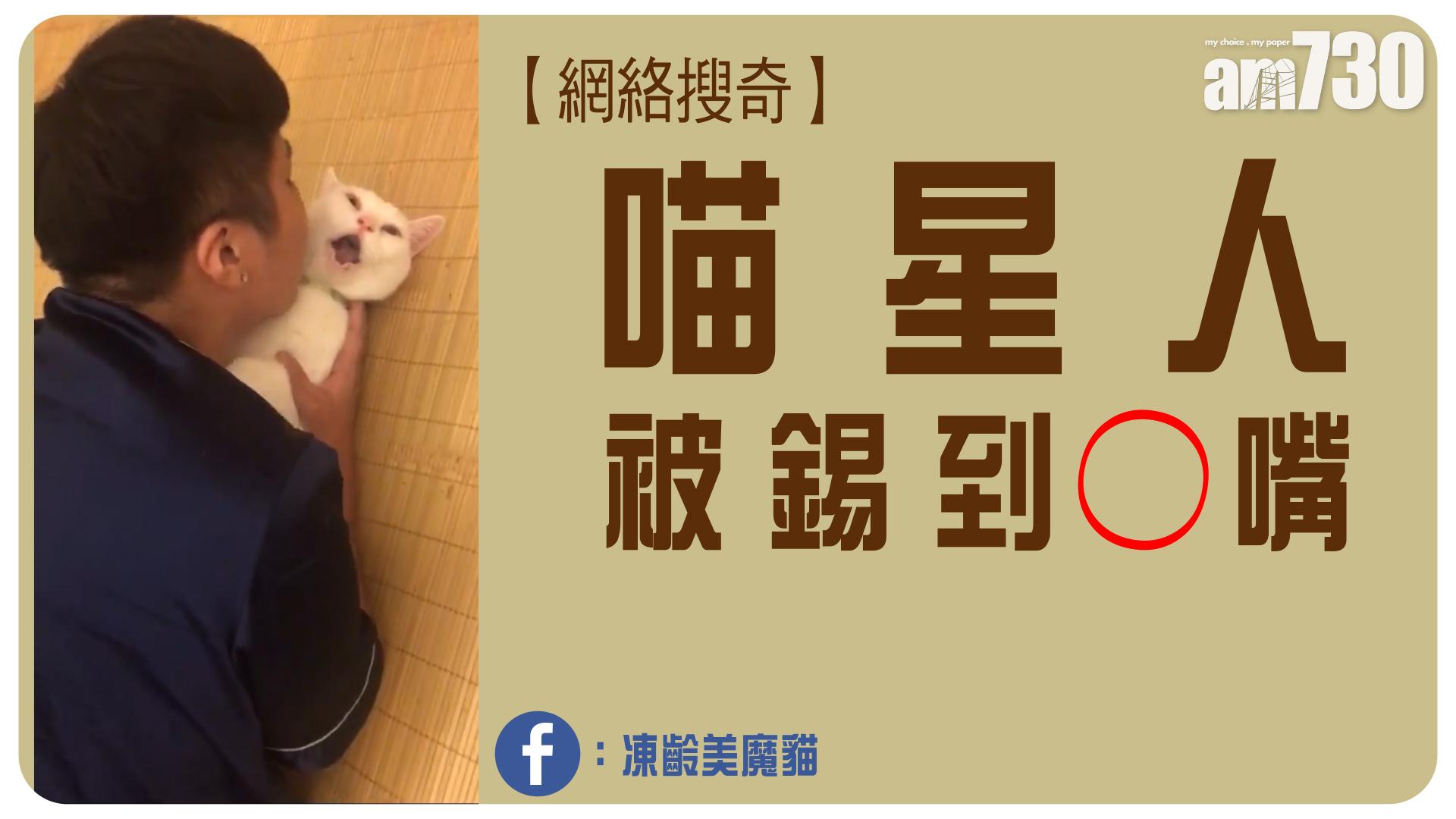 喵星人被錫到「O嘴」