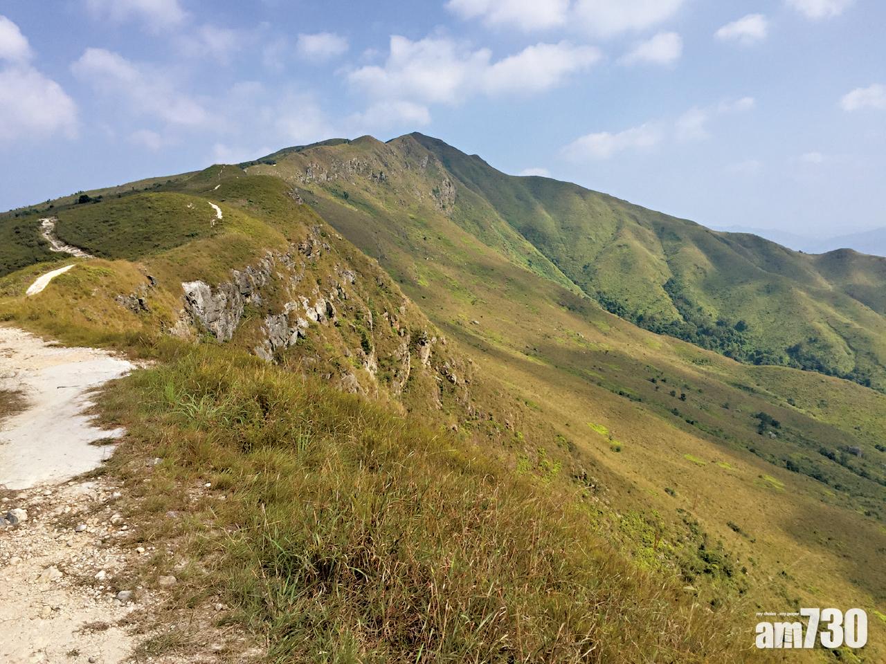 Hike~鬱鬱蔥蔥的橫七古道