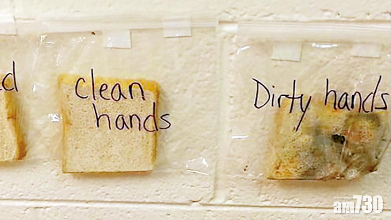 驚人實驗  吃包不洗手可種菌 兩成辦公室杯含糞