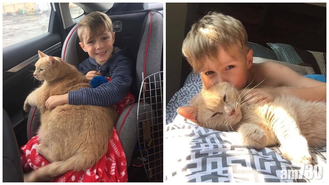 男孩養貓 千揀萬揀揀隻老貓？