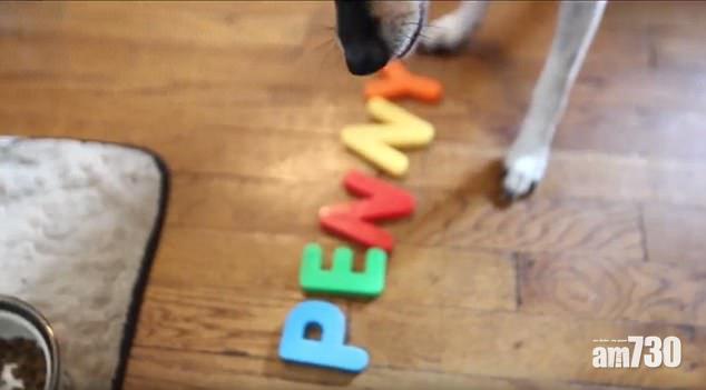 叻狗識串自己大名