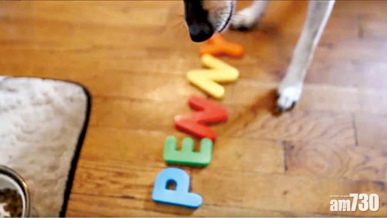 叻狗識串自己大名