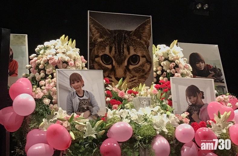 中川翔子為愛貓舉行「告別式」