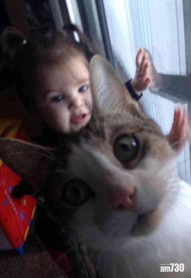 喵星人愛當「攝石人」