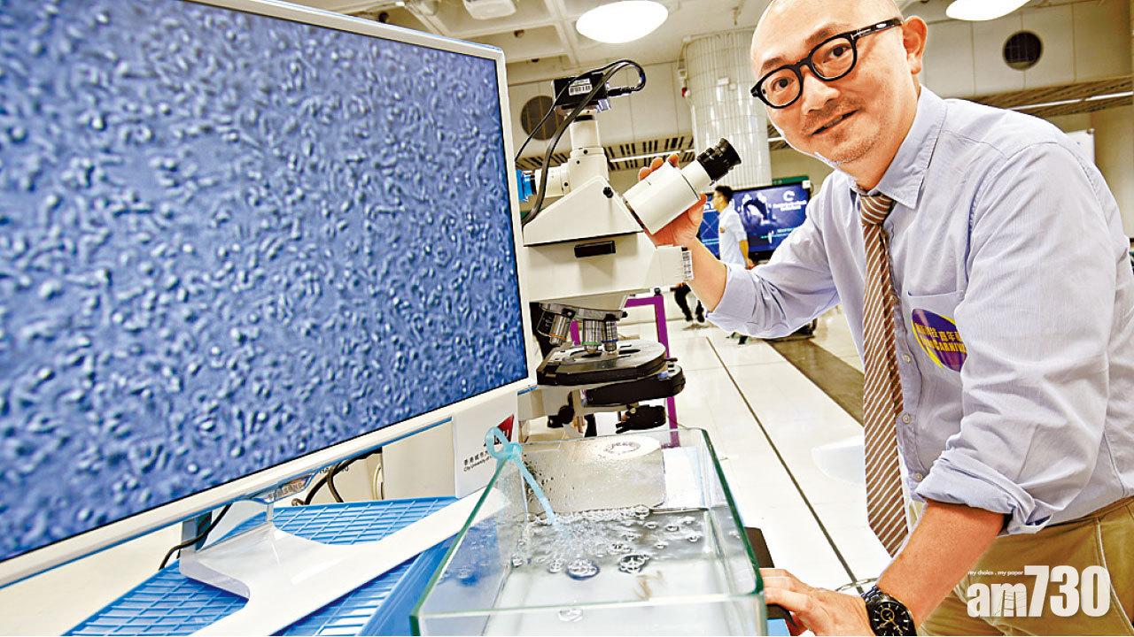 城大研究 結合藥物製新抗生素 鯖鱂魚血擁超級抗菌蛋白