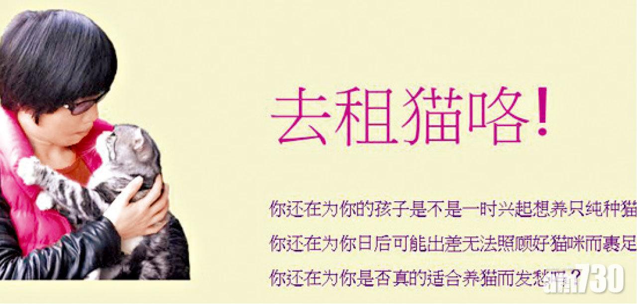深圳現共享貓咪 網民批不人道