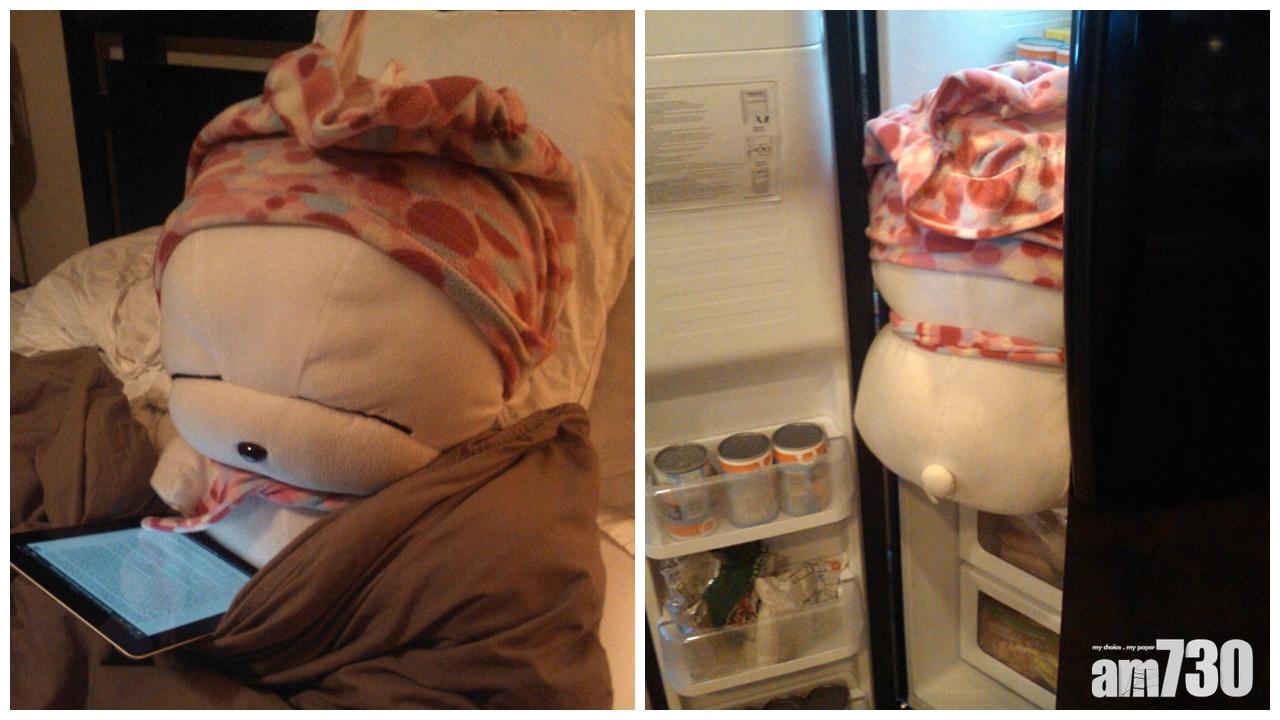 當契女將兔公仔送給獨居契爺後……