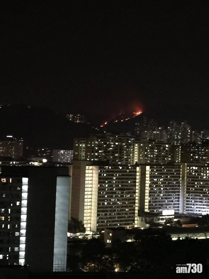 本港至傍晚 全日最少17宗山火