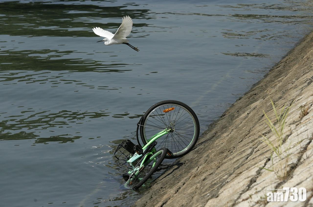 一個月內第5宗  多部共享單車遭掟落林村河
