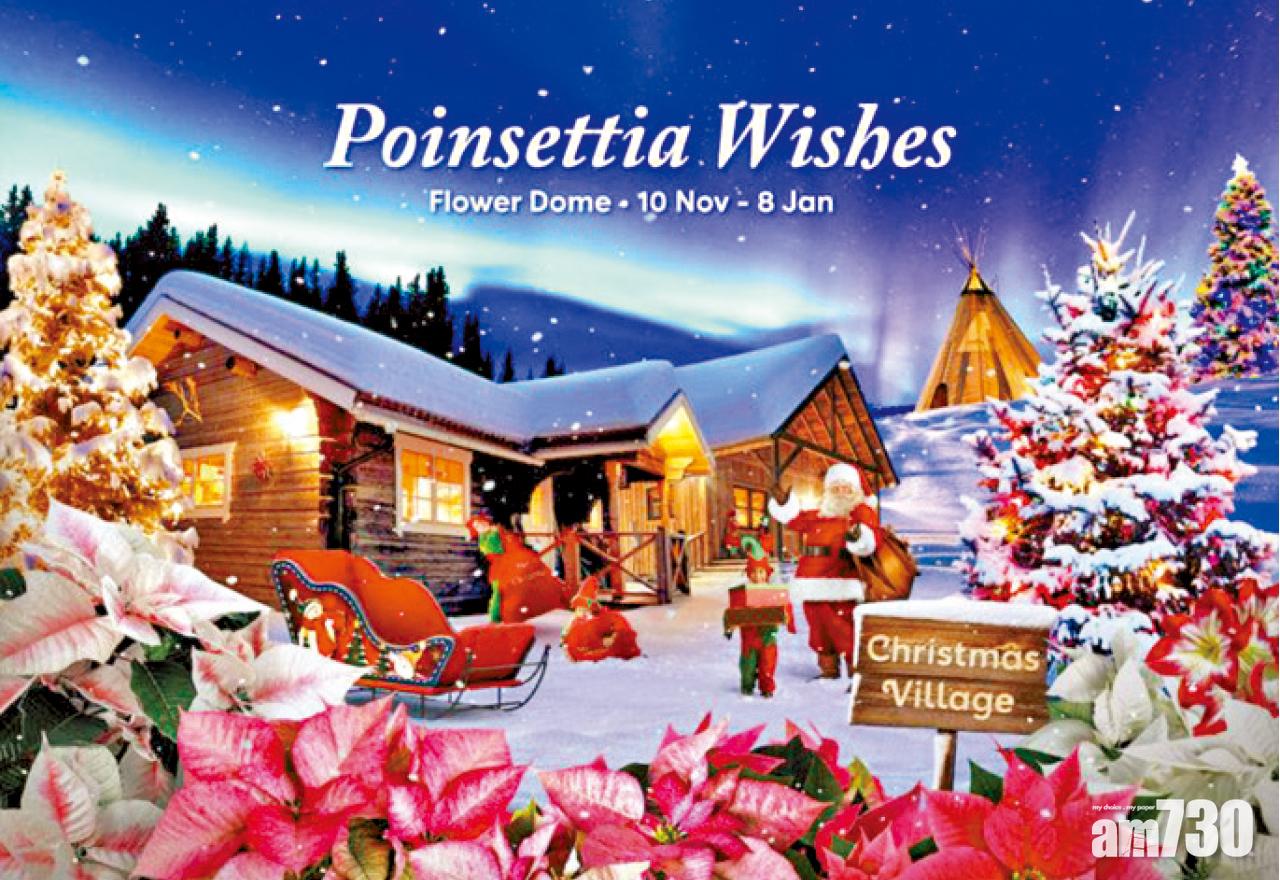 濱海灣聖誕花卉展覽