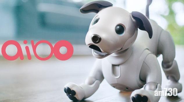 【SONY狗賣萌】 智能狗aibo明年1月發售