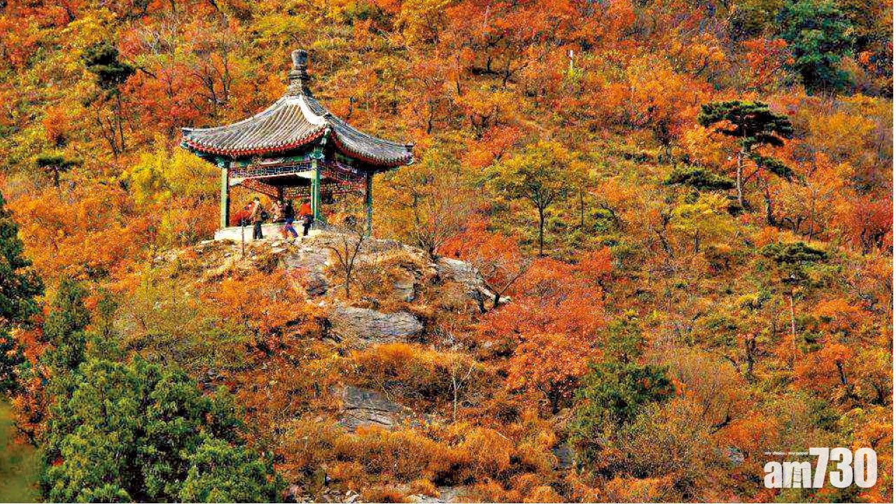 每小時賣過百張 香山紅葉票黃牛炒貴1倍