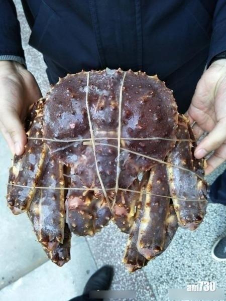 大媽當帝王蟹係蜘蛛 驚到衝派出所報警