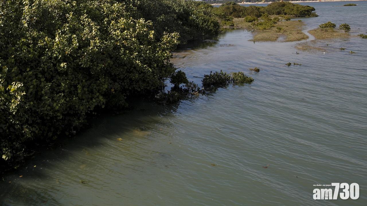 民間團體質疑填海30年後才可用  與目前房屋問題沒關係