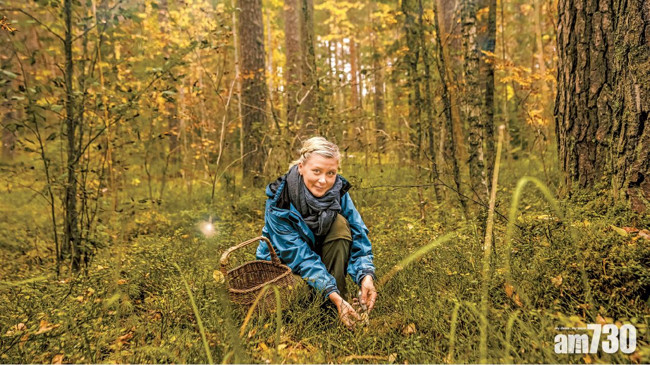  極光之外芬蘭自駕遊 賞湖區秋色 野菇任摘