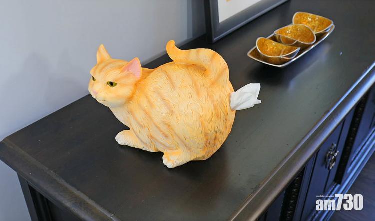 屁股抽紙巾？ 最有創意紙巾盒