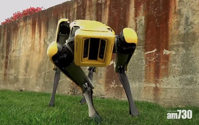 【打仗都得】 美國新型機械犬曝光